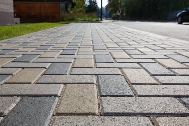 Best Local Driveway Pavers  in Lake Mills, IA