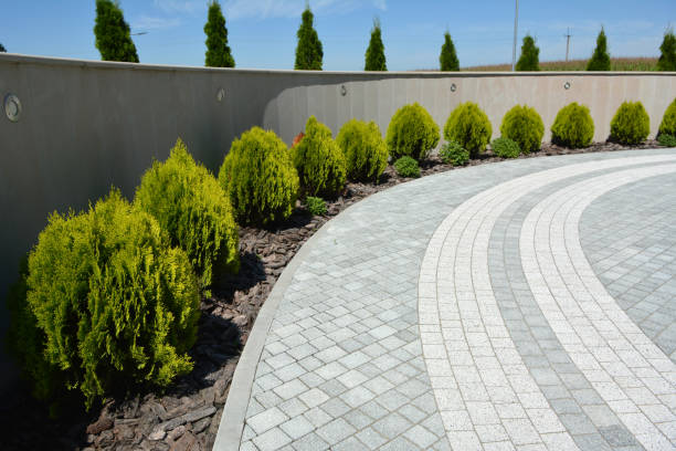 Best Best Driveway Pavers  in Lake Mills, IA